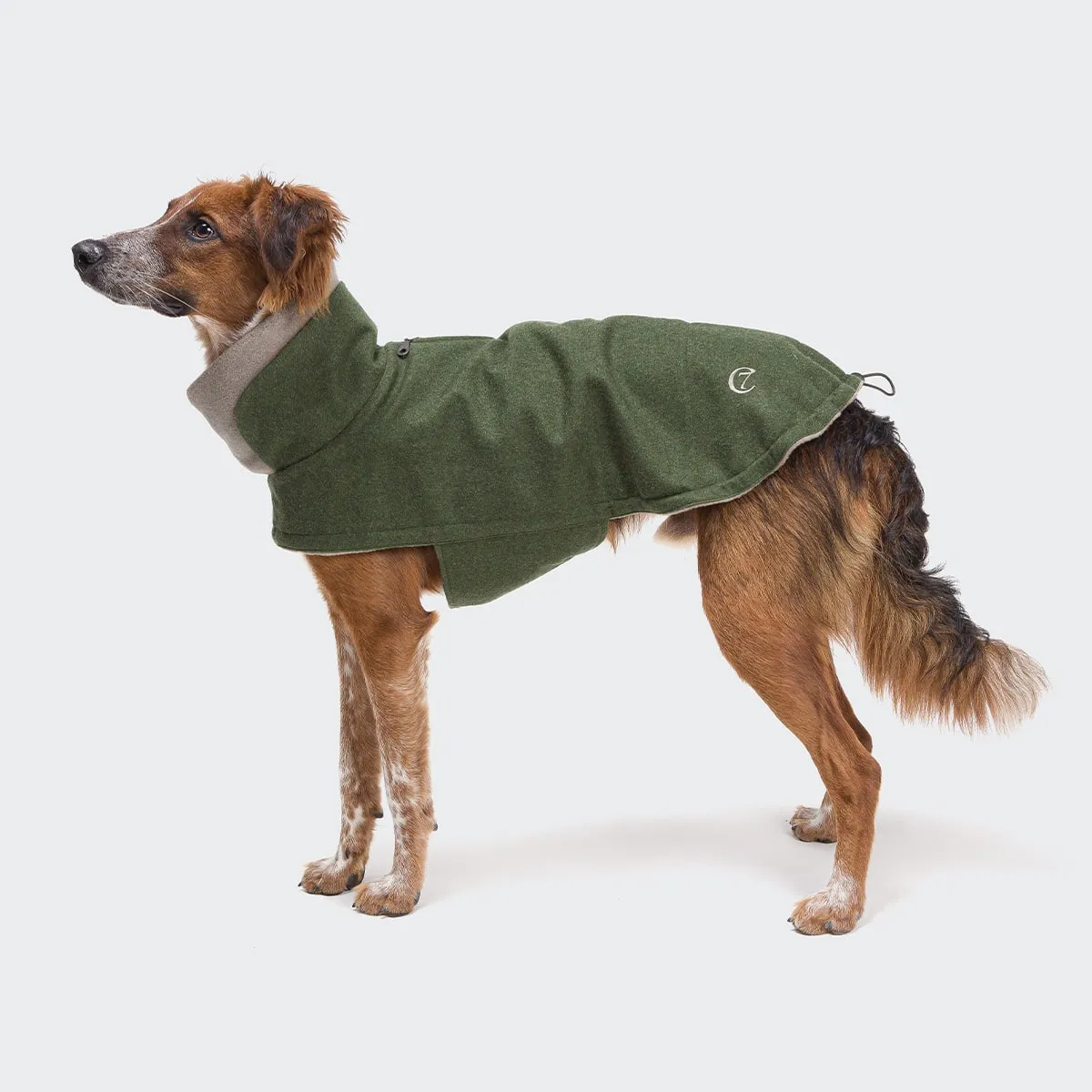 Dog Coat Brooklyn Flannel Fern Green