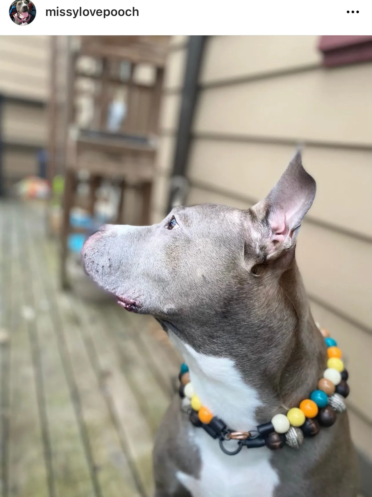 Retro Cool Bead Collar